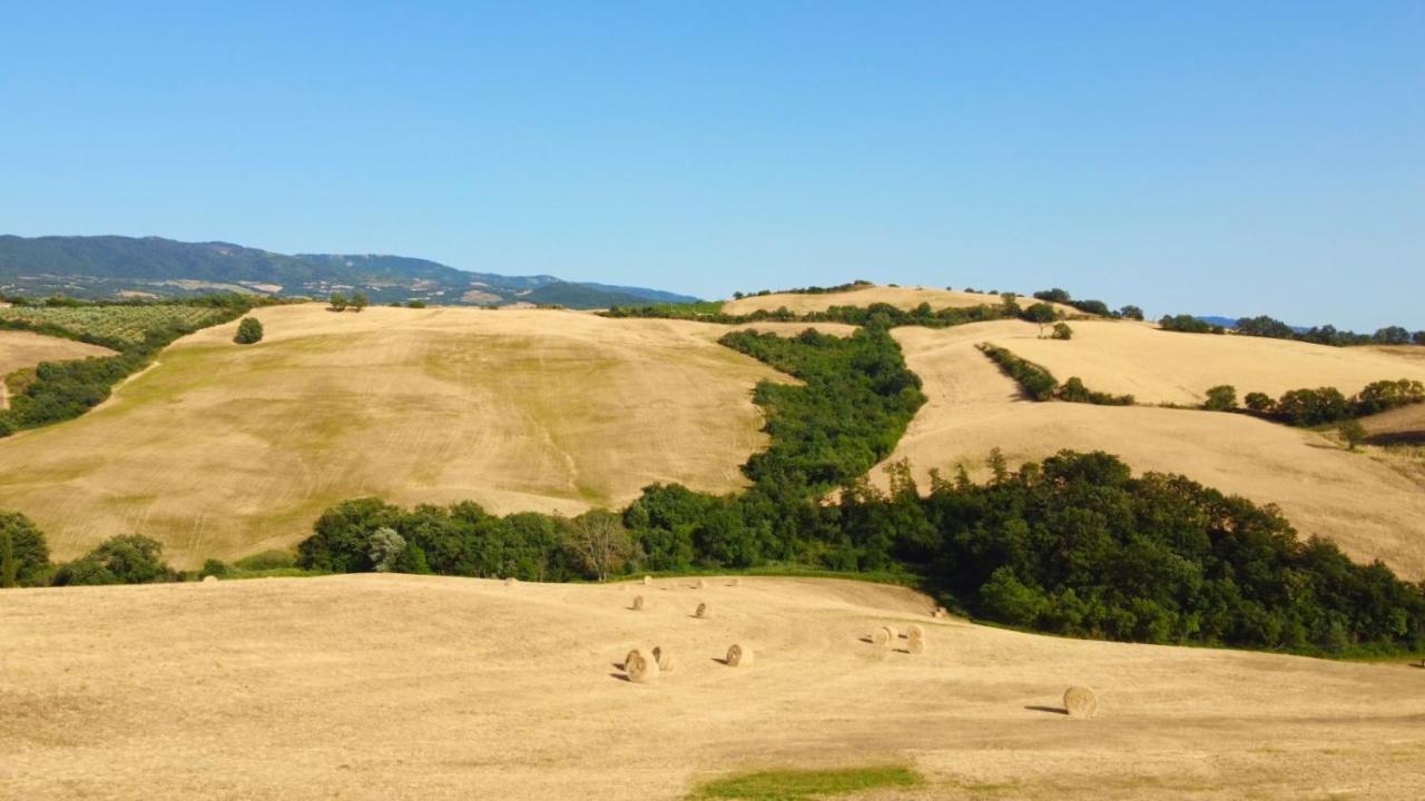 Glamping Le Dune Cinigiano Extérieur photo
