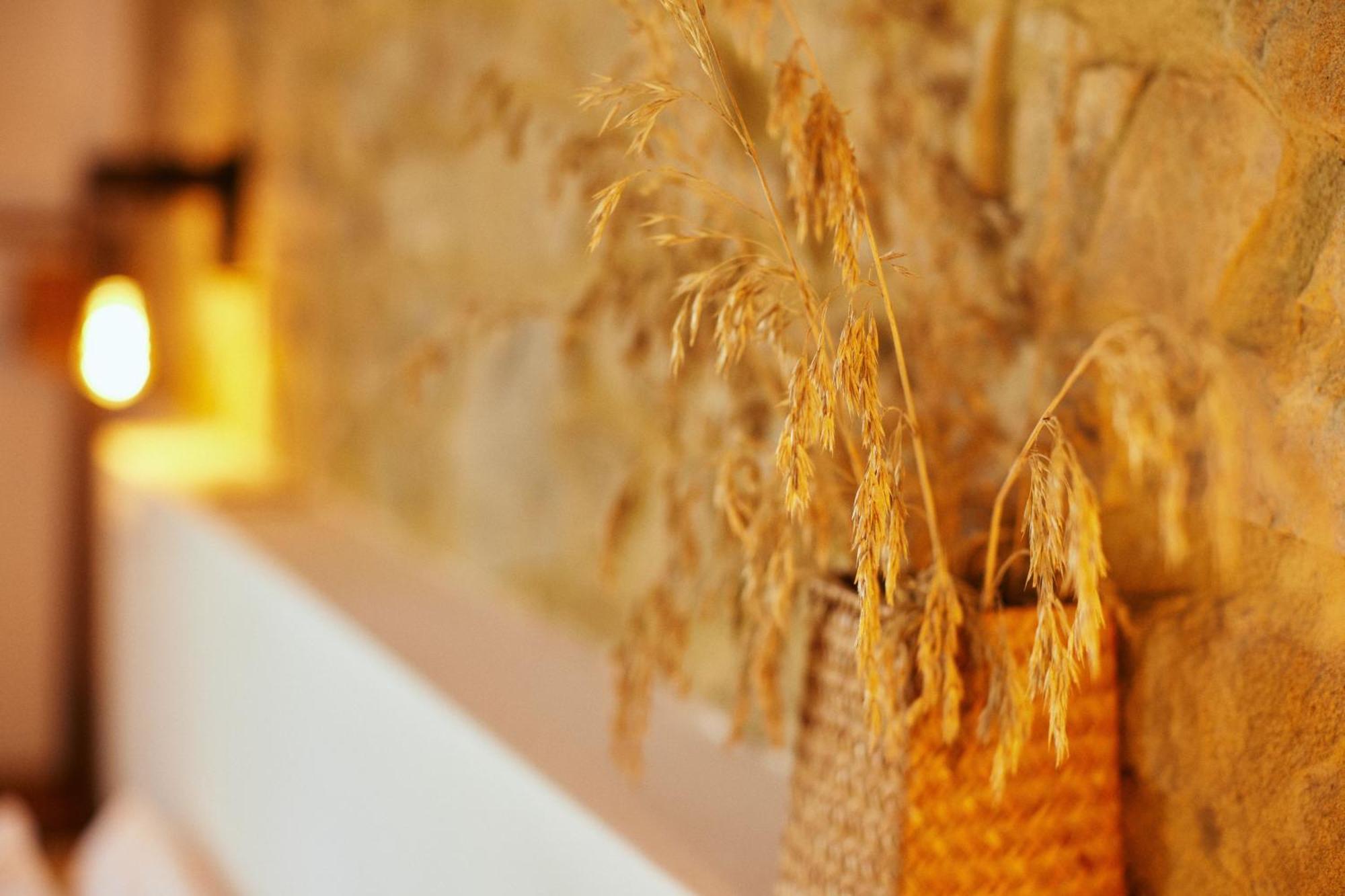 Glamping Le Dune Cinigiano Extérieur photo